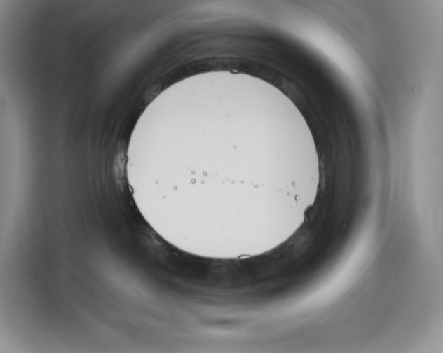 X0000115070190200911241129