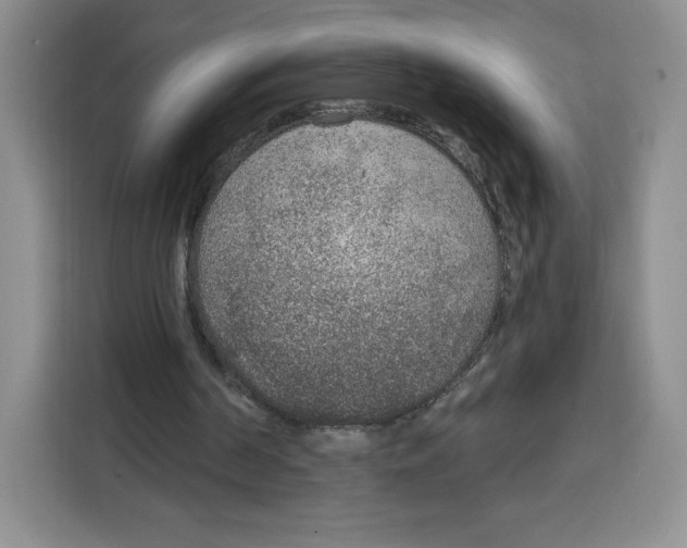 X0000115070194200911241129