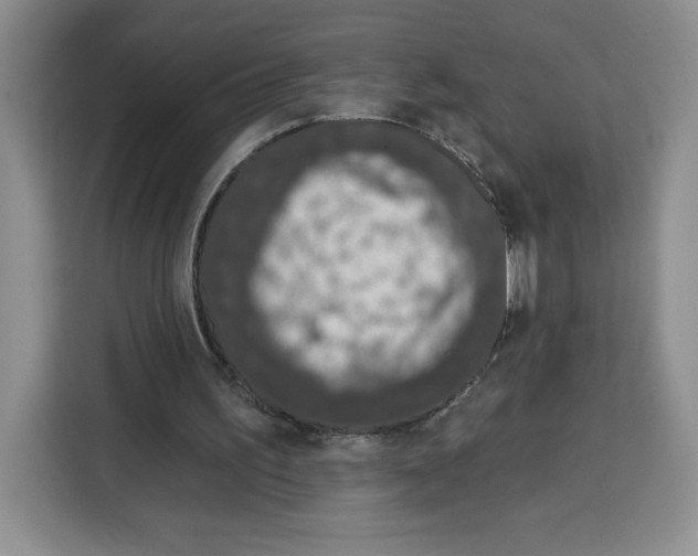 X0000115070195200911241129