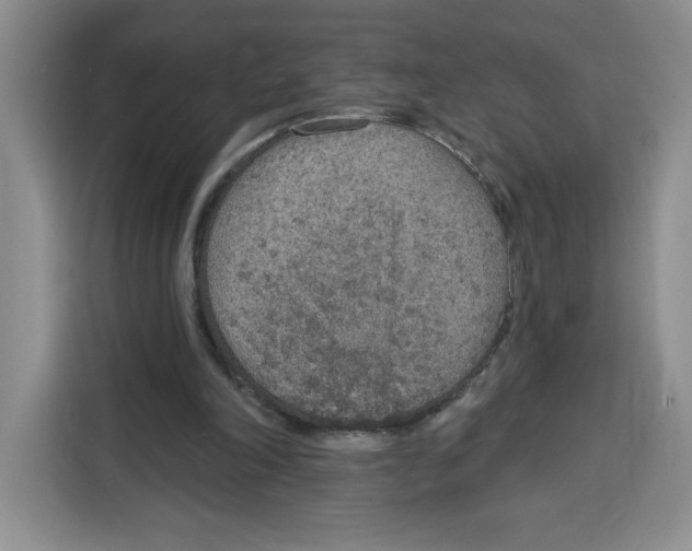 X0000115070198200911241129