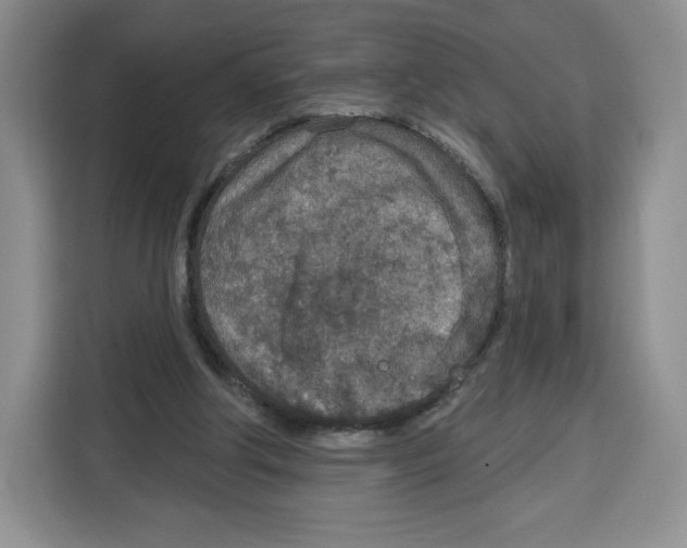 X0000115070202200911241129