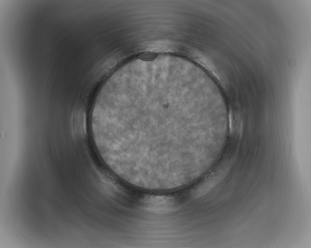 X0000115070205200911241129