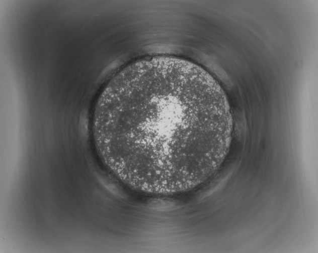 X0000115070207200911241129