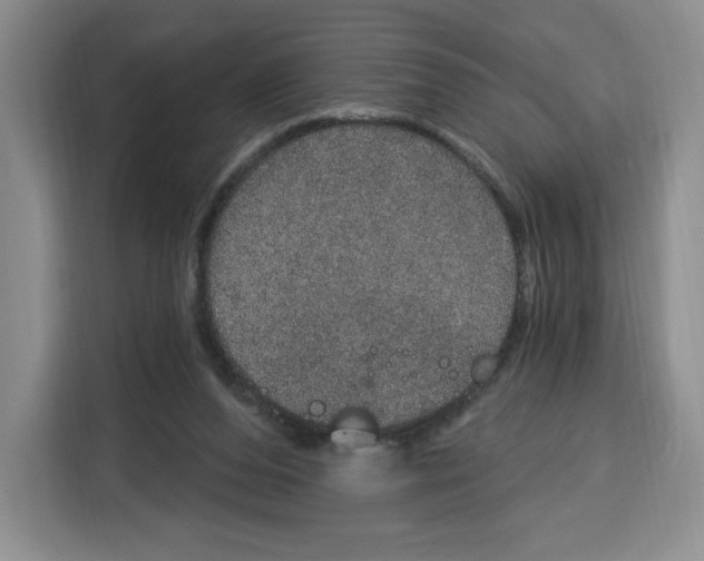 X0000115070208200911241129