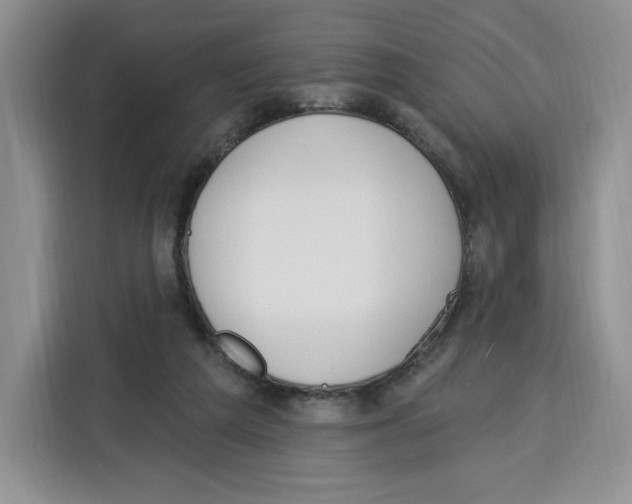 X0000115070209200911241129