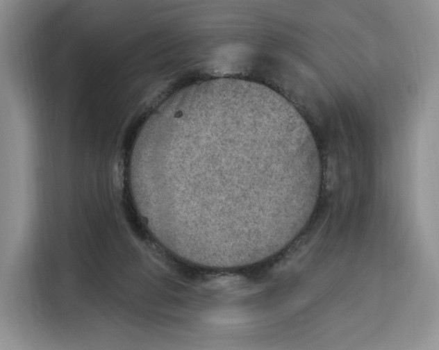 X0000115070210200911241129