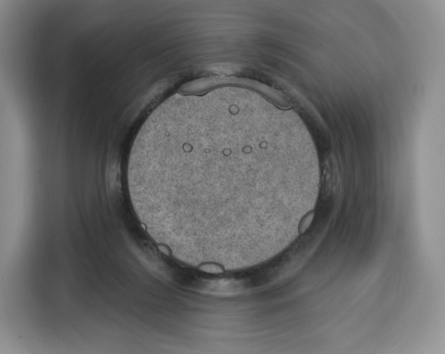 X0000115070212200911241129