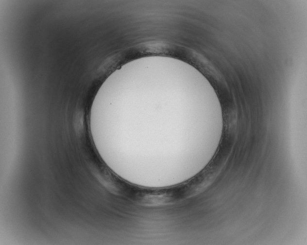 X0000115070213200911241129
