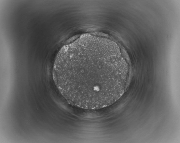 X0000115070215200911241128
