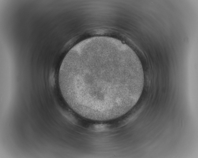 X0000115070216200911241128
