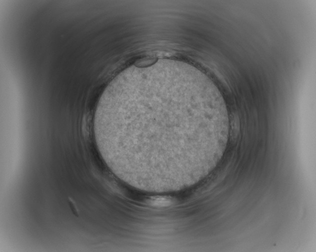 X0000115070218200911241128