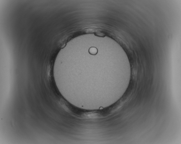 X0000115070219200911241128