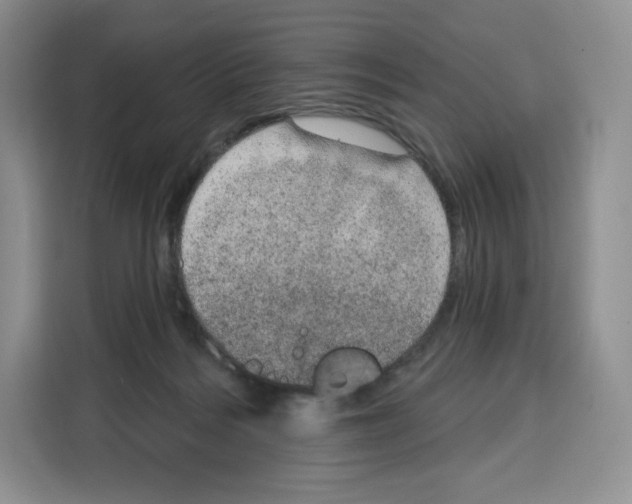 X0000115070220200911241128