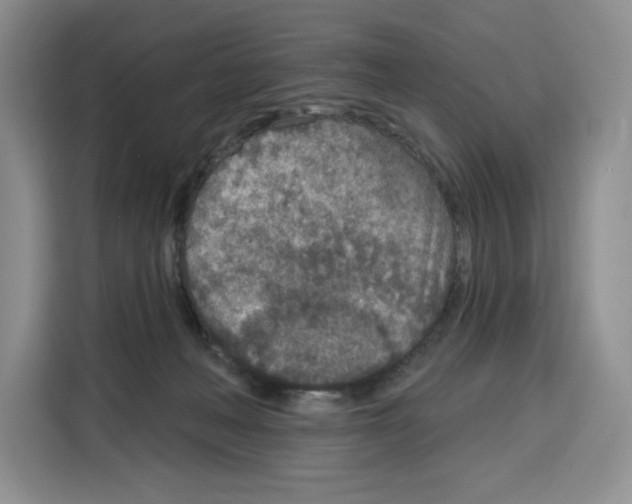 X0000115070222200911241128