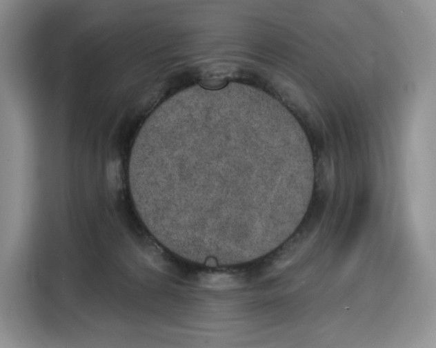 X0000115070224200911241128