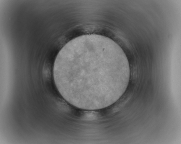 X0000115070226200911241128