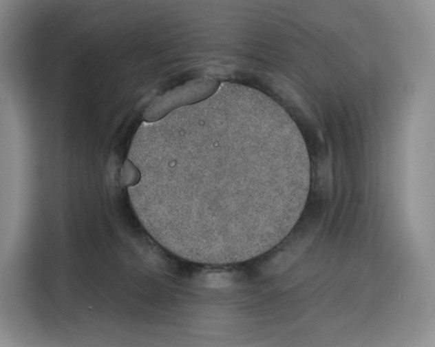 X0000115070228200911241128