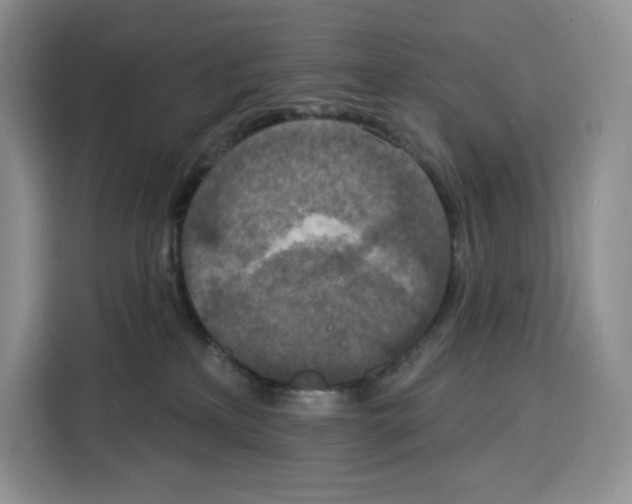 X0000115070233200911241128