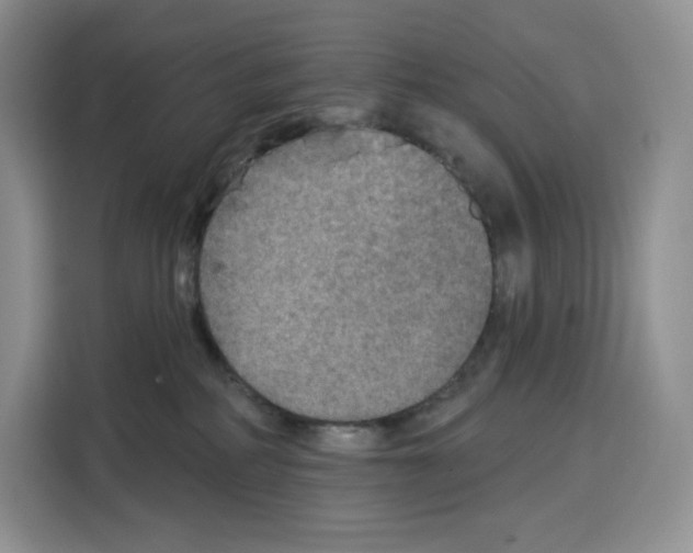 X0000115070234200911241128
