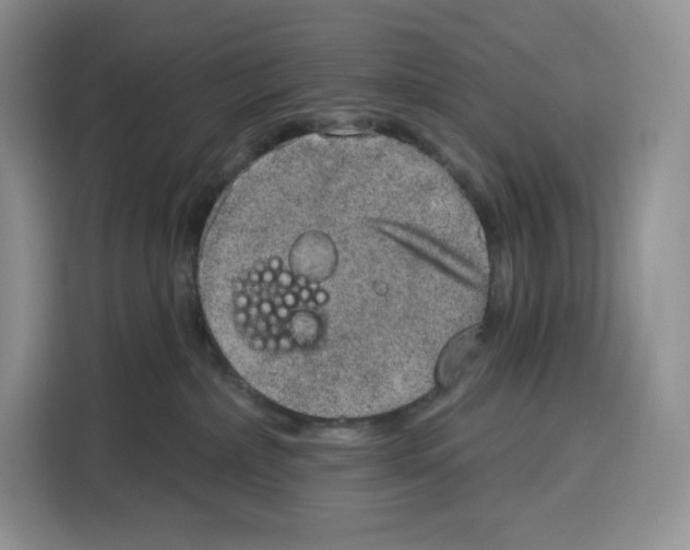 X0000115070236200911241128