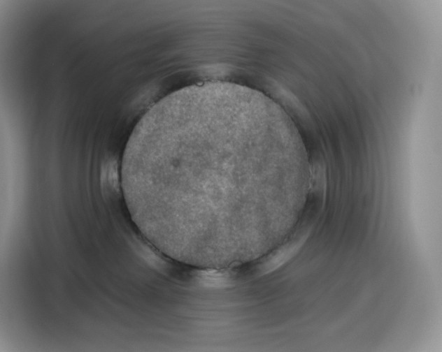 X0000115070238200911241128