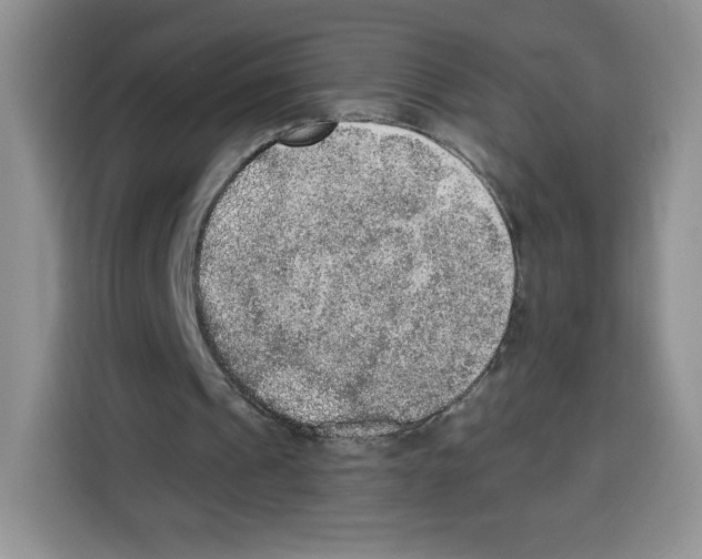 X0000115070241200911241128