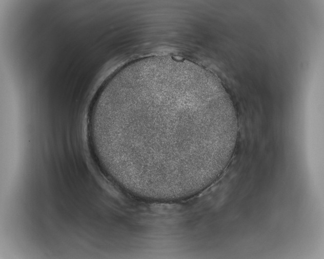 X0000115070242200911241128