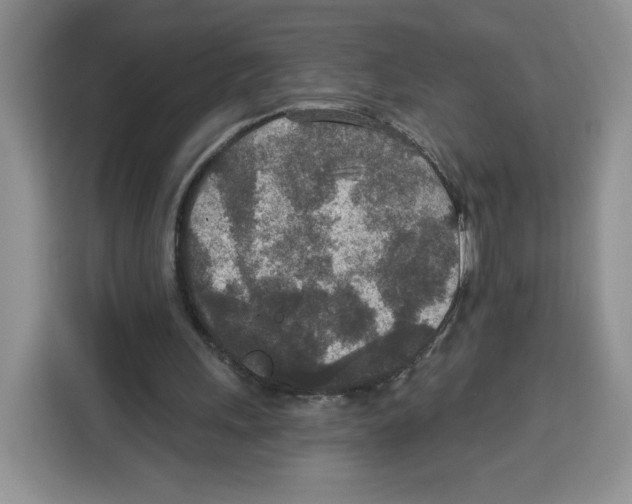 X0000115070243200911241128