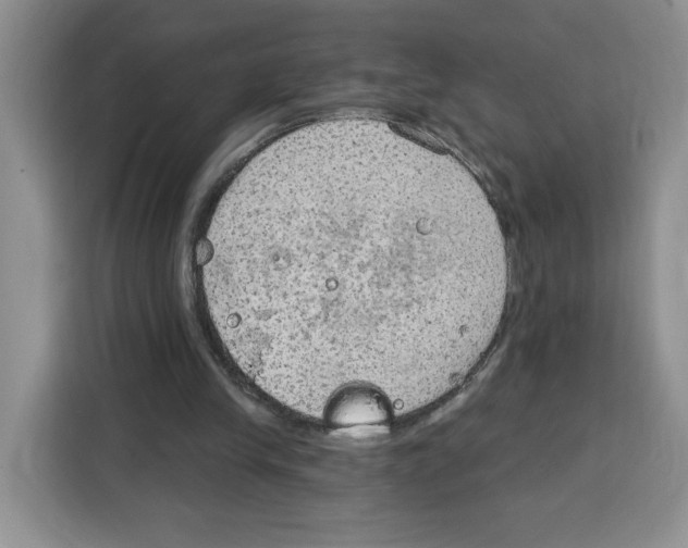 X0000115070245200911241128