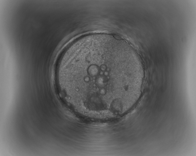 X0000115070247200911241128