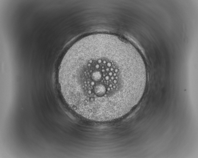 X0000115070249200911241128