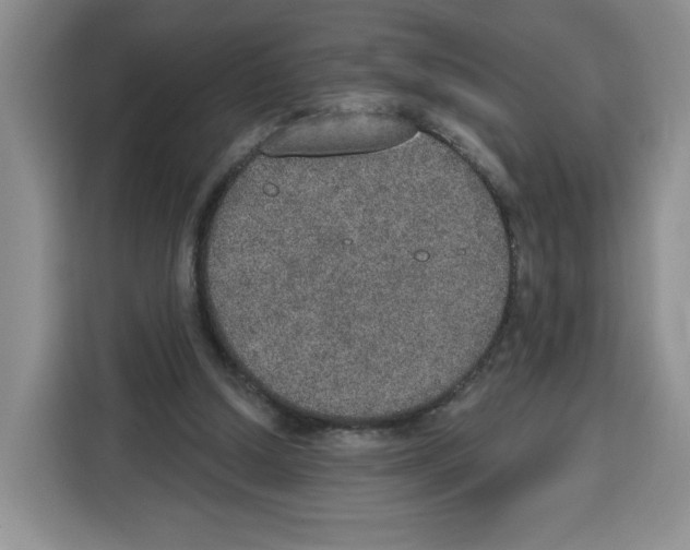 X0000115070250200911241128