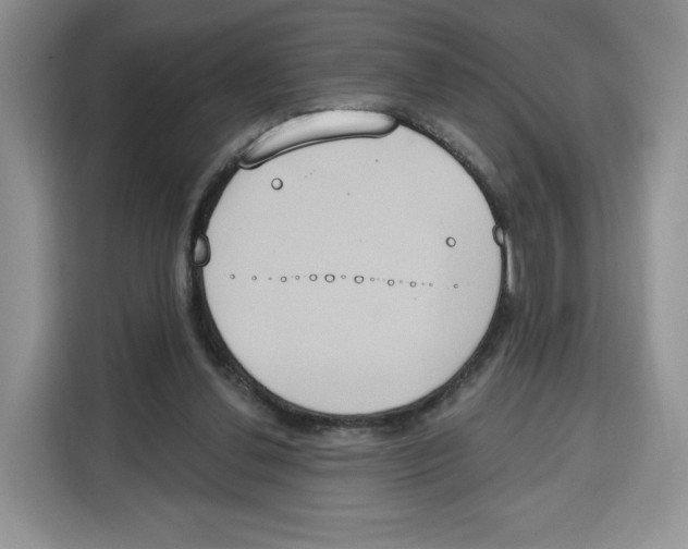X0000115070252200911241128