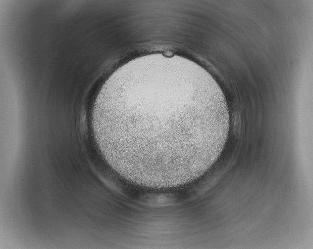 X0000115070254200911241128