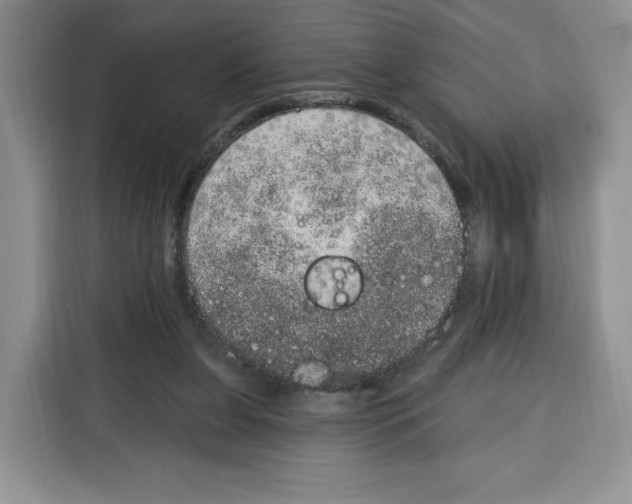X0000115070255200911241128