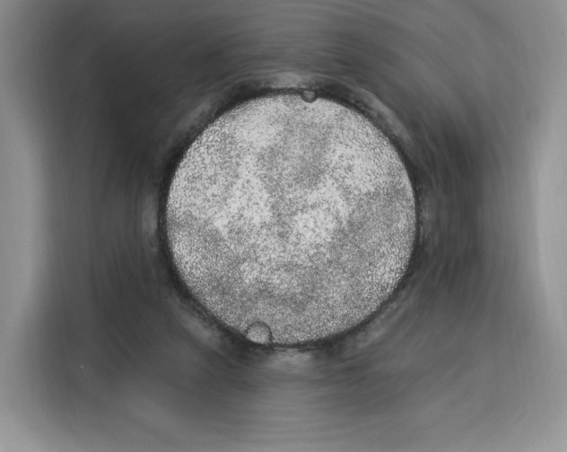 X0000115070257200911241128