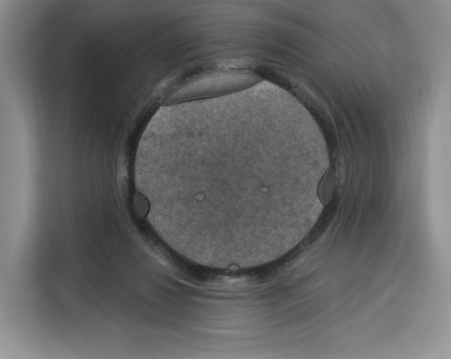 X0000115070260200911241128