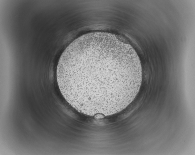 X0000115070261200911241128
