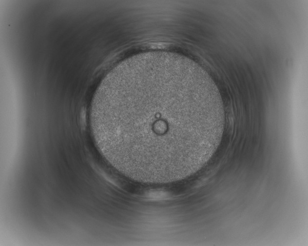 X0000115070262200911241128