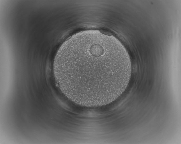 X0000115070264200911241128