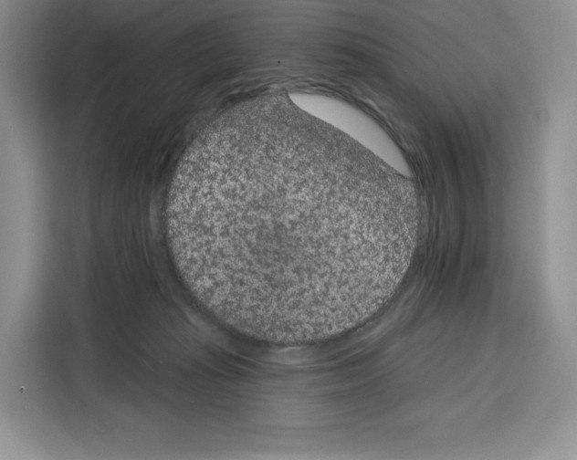 X0000115070269200911241128
