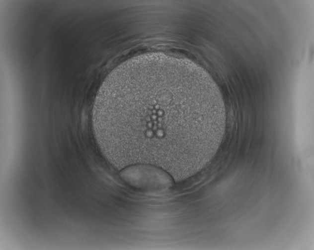 X0000115070271200911241128