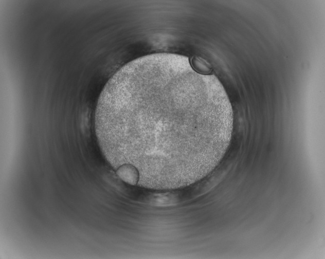 X0000115070275200911241128