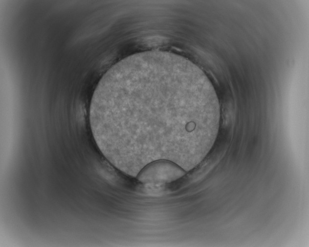 X0000115070279200911241128