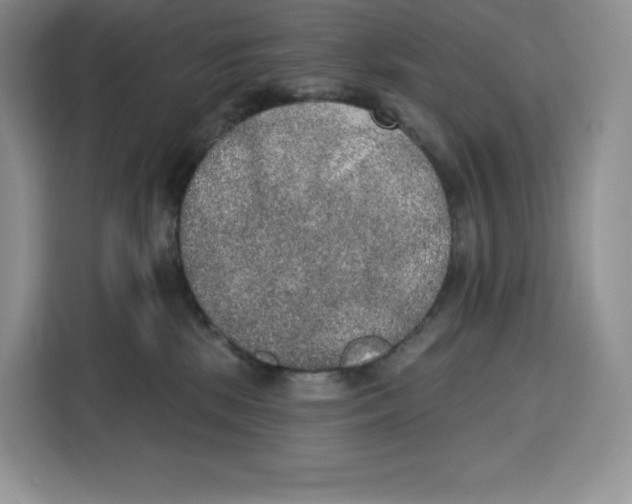 X0000115070281200911241128