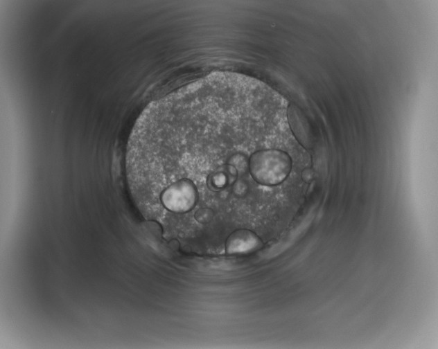 X0000115070282200911241128