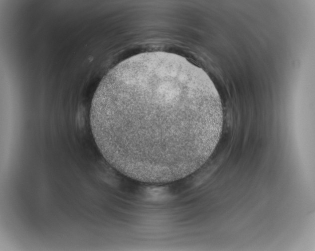 X0000115070283200911241128