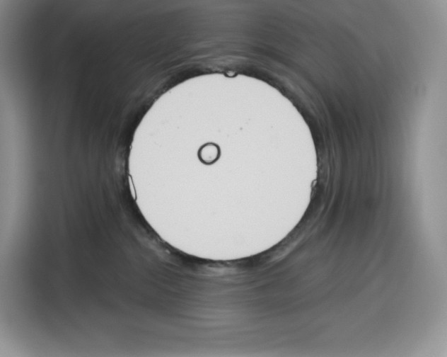 X0000115070284200911241128