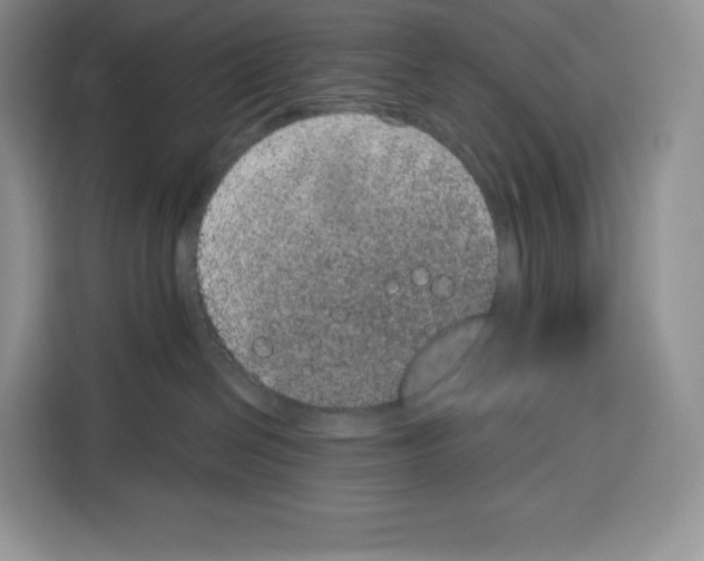 X0000115070286200911241128