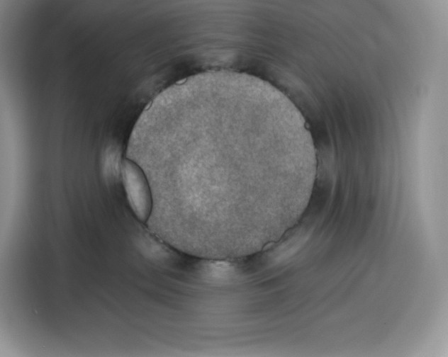 X0000115070287200911241128